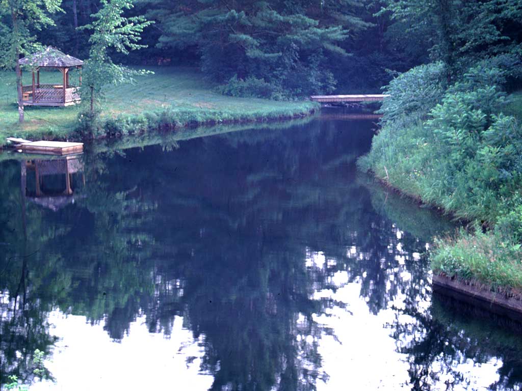 Photo of the Day